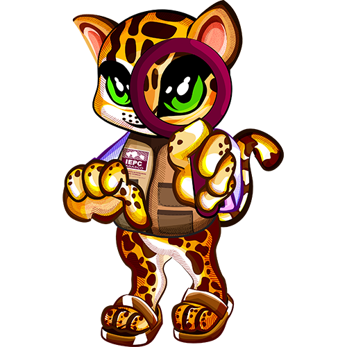 Sección en construcción